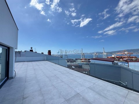 Teis, Vigo