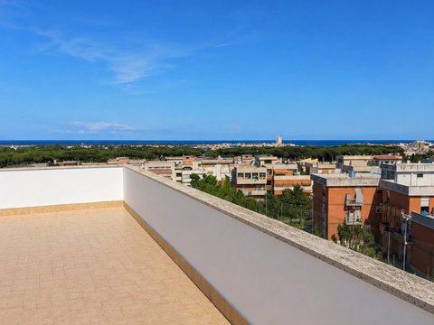 San Giacomo-Santa Barbara, Nettuno