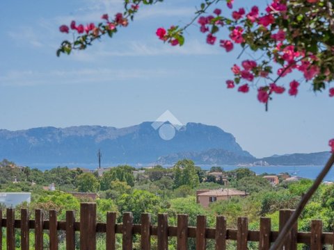 Pittulongu - Moriscu, Olbia
