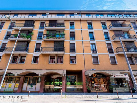 Murri, Bologna