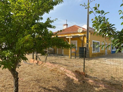 São Teotónio, Odemira