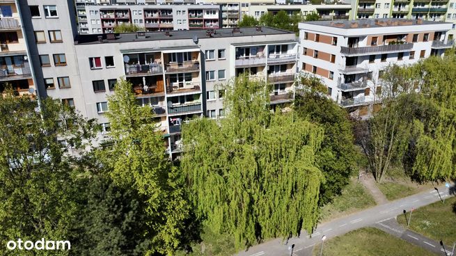 Osiedle Tadeusza Kotarbińskiego, Zabrze