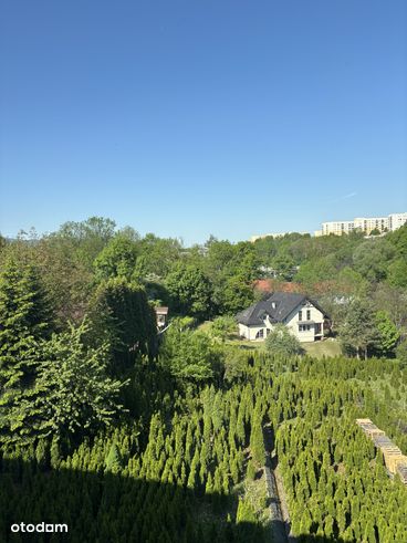 Kamienica, Bielsko-Biała