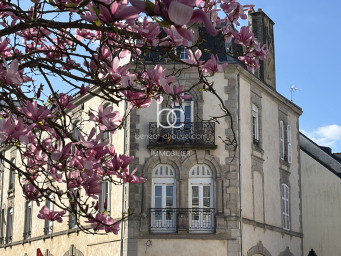 Ouest Péri-Centre Ville, Vannes