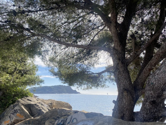 Est, La Ciotat