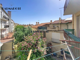 Clémenceau, Perpignan