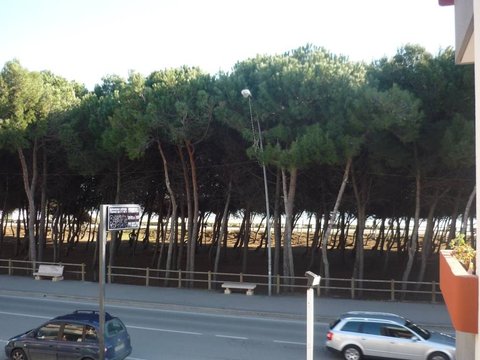 Villa Fiore, Alba Adriatica