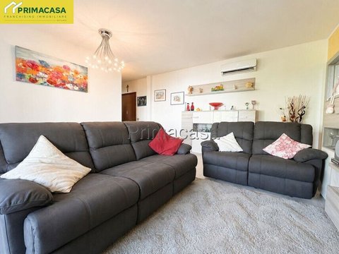 San Lazzaro, San Lazzaro - Cattane, Vicenza