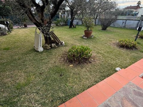 Dogana, Luni