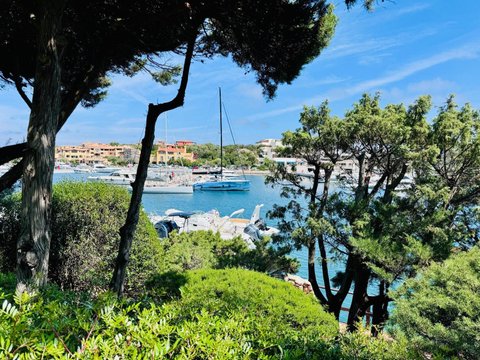 Marina di Porto Cervo, Area Porto Cervo, Arzachena