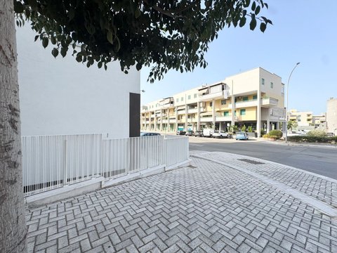 Zona Nord- Stadio - Pantano, Città, Monopoli