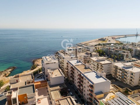 Zona Nord- Stadio - Pantano, Città, Monopoli