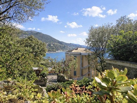 Zona Pineta, Arenzano