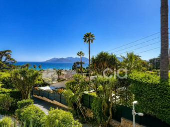 Le Riou, Cannes