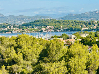 Pin Rolland-Maregau, Saint-Mandrier-sur-Mer