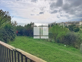 Lupino, Bastia