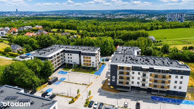 Staroniwa, Rzeszów