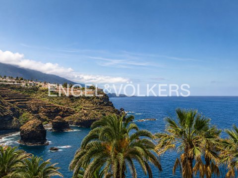 Longuera-Toscal, Los Realejos