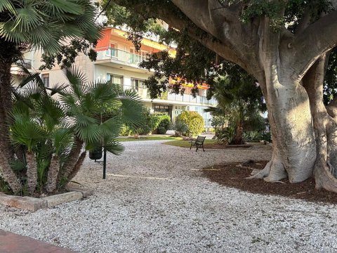 Limonar, Este, Málaga