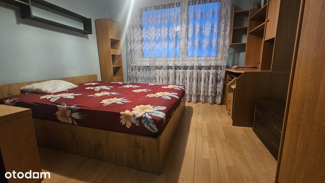 Podlesie, Gołonóg Południowy, Dąbrowa Górnicza