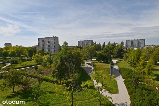 Płock
