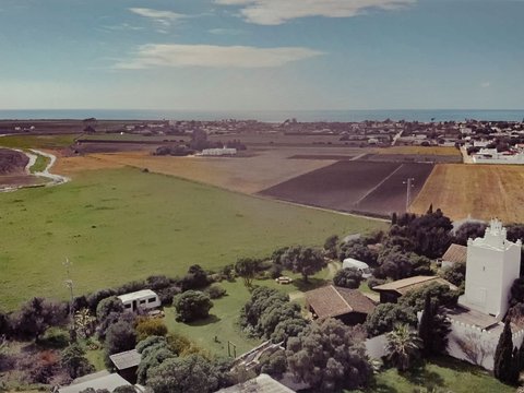 Palmar,El