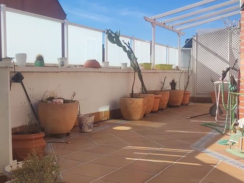 Casco Antiguo, Majadahonda