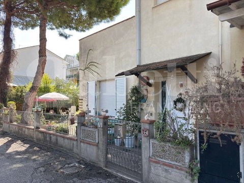 Malva, Cervia
