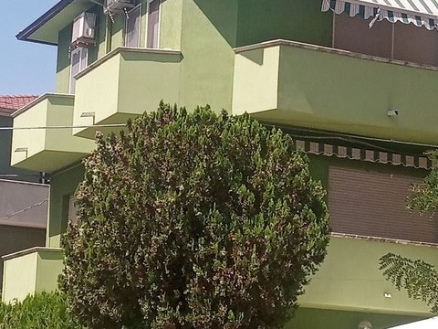 Campomarino Lido, Campomarino