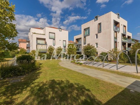 San Lazzaro, San Lazzaro - San Zeno, Treviso