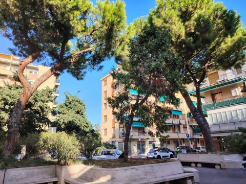 Centro - Olivette, Loano