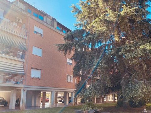 Nuova Latina-Nascosa, Centro Sud, Latina