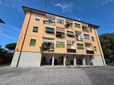 Puliche, Massa
