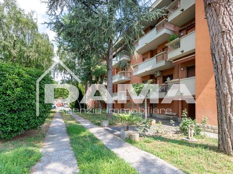 Spazzoli, Forlì