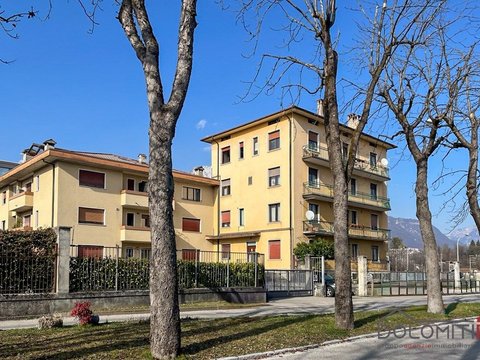 Centro, Belluno
